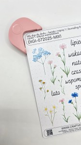dziurkacz-zaokraglanie-rogow-roz