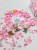 mixvenki-cekiny-craftvena-MIXV-MD-024-3.jpeg