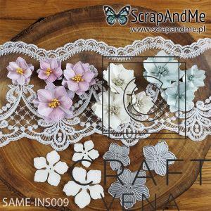 SAME-INS009